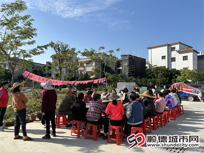 平安·天湖共建公园议事会.png