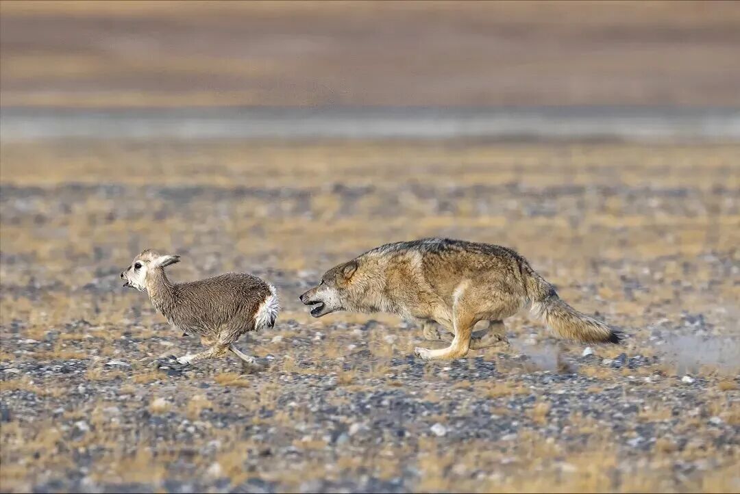 《生死时速》 &nbsp;摄影：同海元.jpg