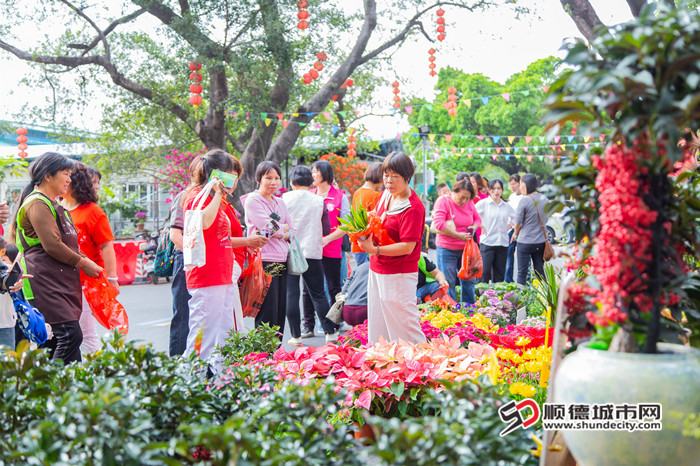 “趁花墟”一定要买盆靓花。.jpg