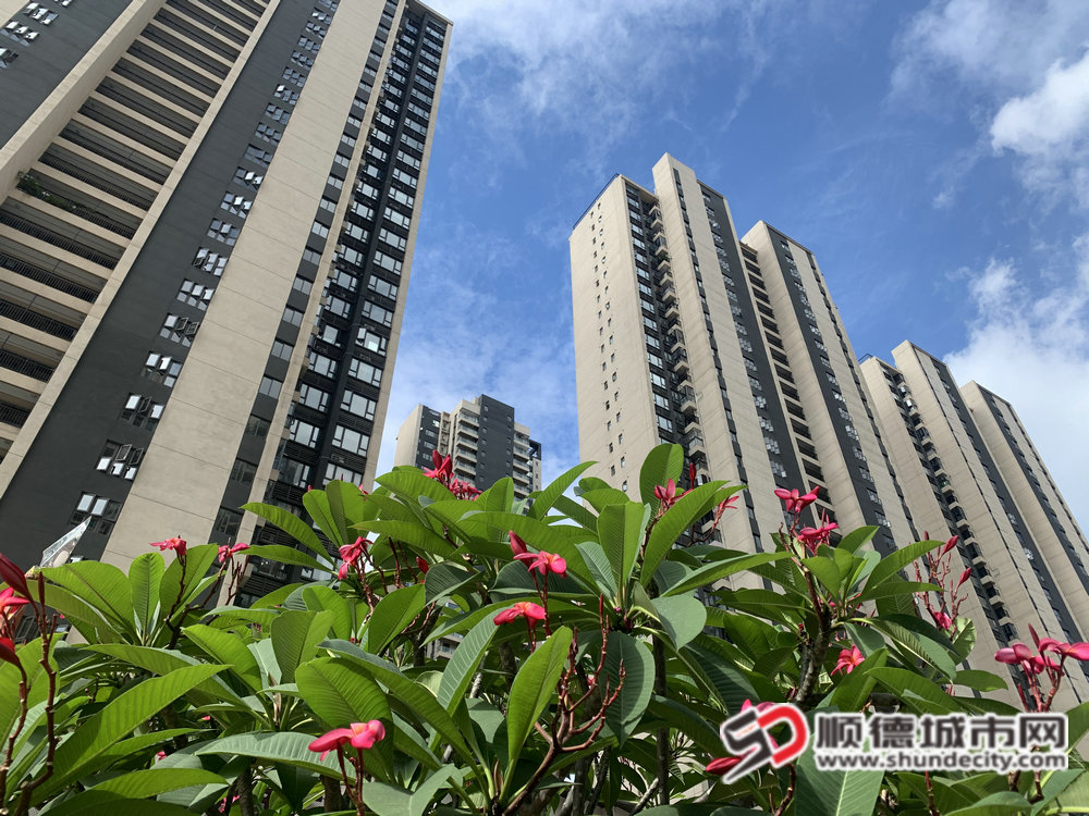 顺德土地新政力促房地产市场平稳健康发展。.jpg