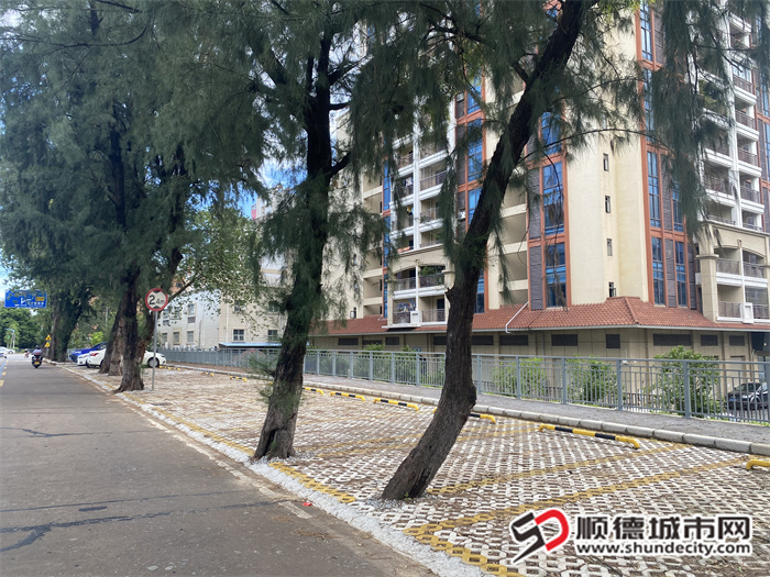 闲置地成功转化为便民停车场。.jpg