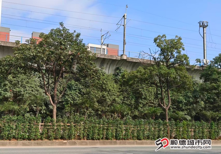 微信图片_2025-12-23_150011_212 (1)_1.jpg