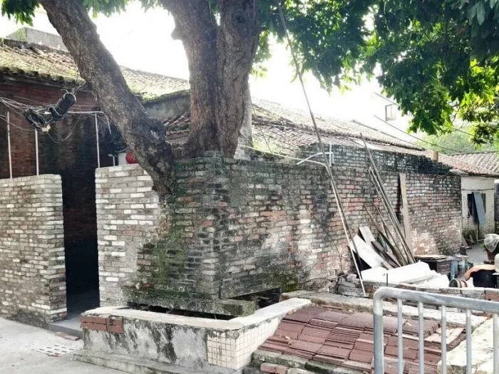 微信图片_2026-01-14_225128_669 (1).jpg