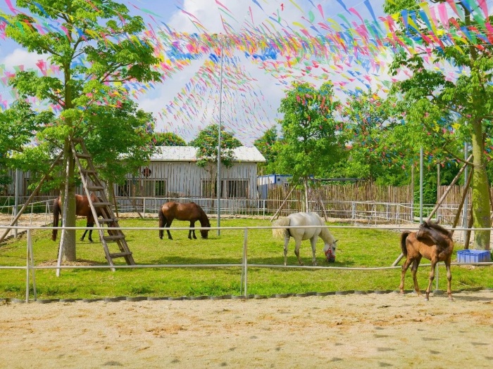 微信图片_2026-01-14_221831_047 (1).jpg