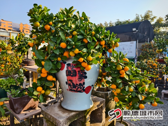 IMG_20260114_090843 (1).jpg