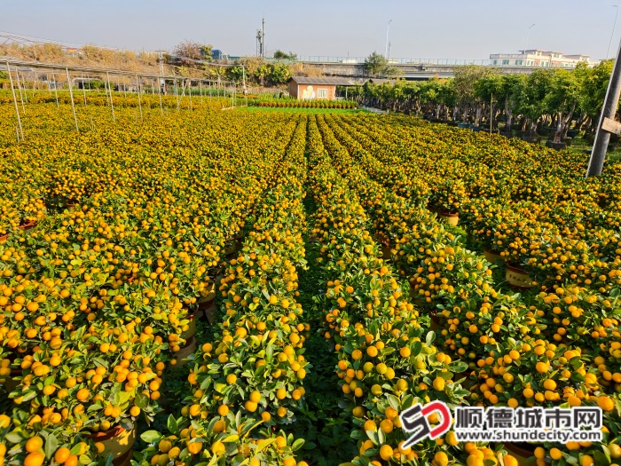 IMG_20260114_091837 (1).jpg