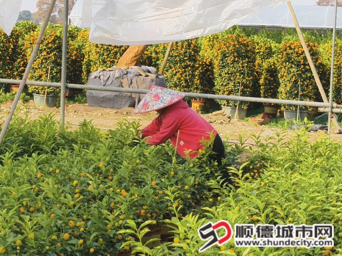 IMG_20260114_092640 (1).jpg