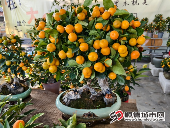 IMG_20260114_091158 (1).jpg