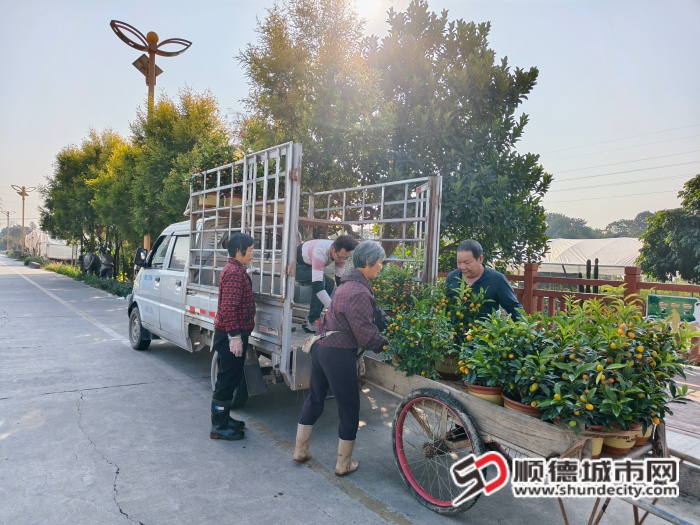 IMG_20260114_093656 (1).jpg