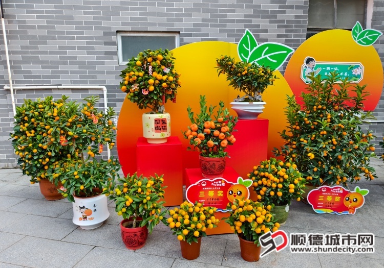 IMG_20260116_085625 (1) (1).jpg