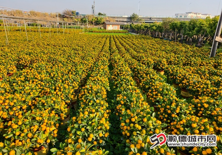 IMG_20260114_091837 (1) (1).jpg