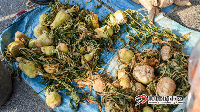 三华墟日（2026.1 (5).jpg