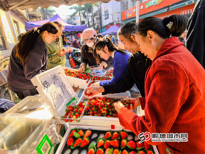 三华墟日（2026.1 (26).jpg