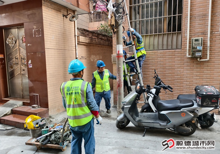 IMG_20260120_095110 (1).jpg