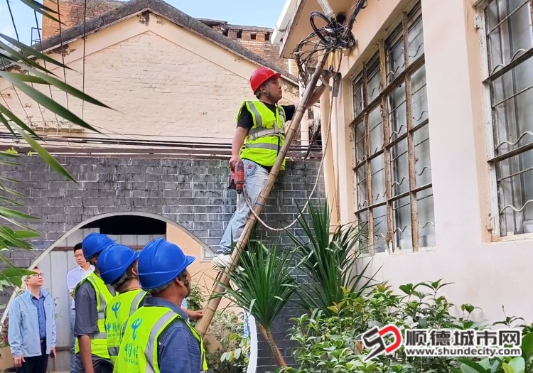 2026大良三线整治动工(9) (1).jpg