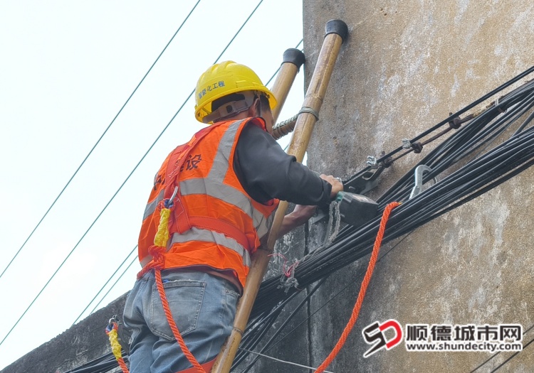 IMG_20260120_102901 (1).jpg