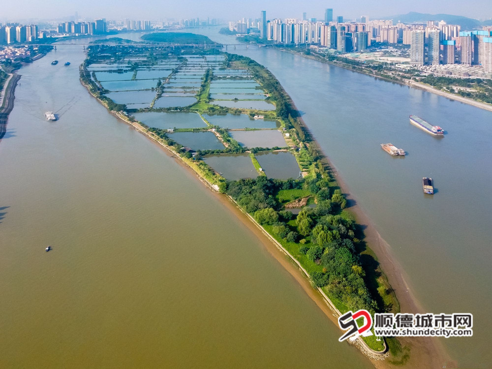 22容桂大汕岛 作者：顺德城市网摄影俱乐部翁英豪_副本.jpg