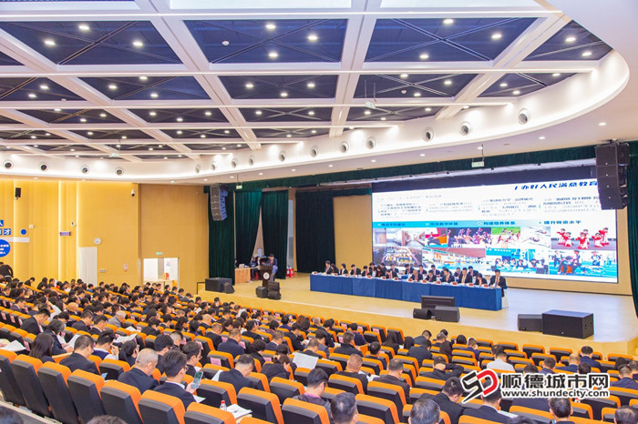 乐从镇党委副书记、镇长陈子荣作政府工作报告。.jpg