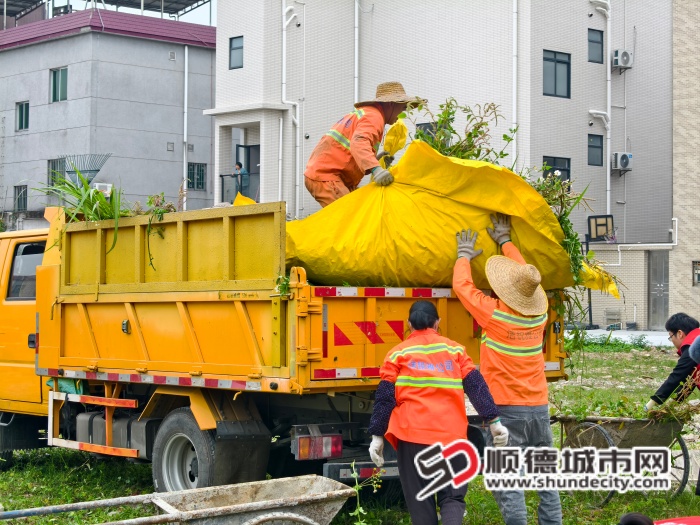 IMG_20260210_095249 (1).jpg