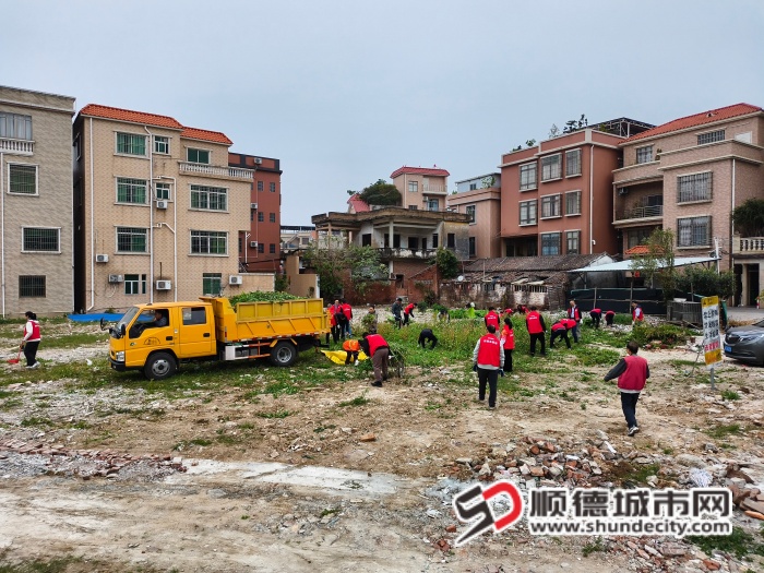 IMG_20260210_094952 (1).jpg