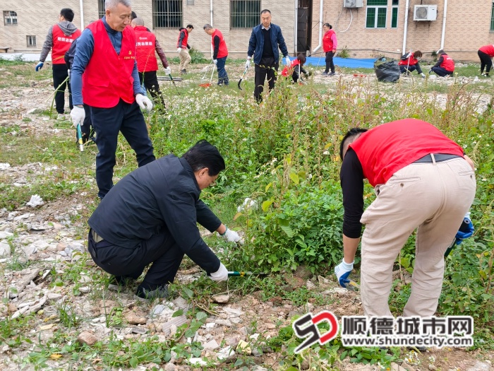 IMG_20260210_093613 (1).jpg