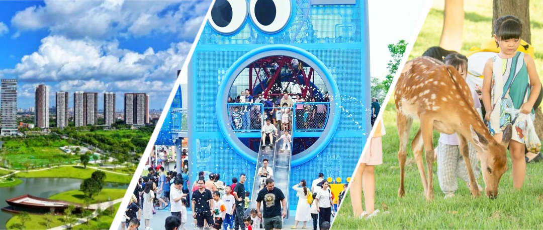 节约粮食光盘行动实景公众号首图(1) (24).png