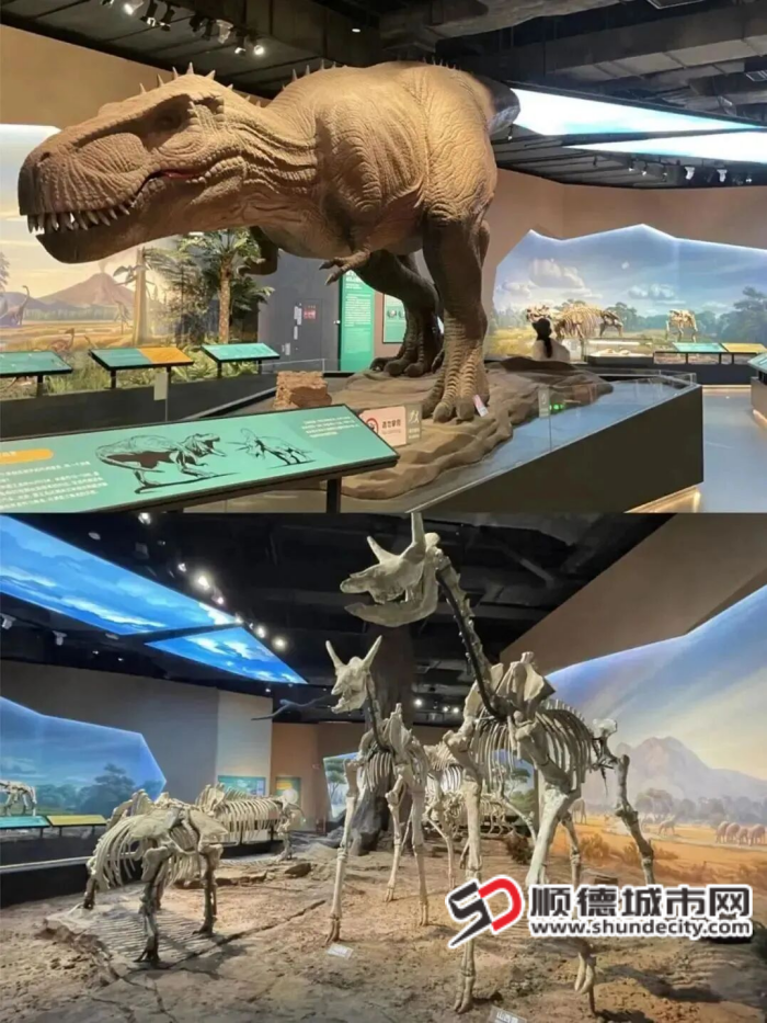 图片11_副本.png