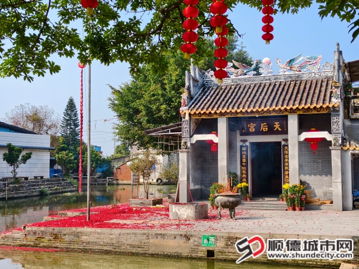 IMG_20260220_100411 (1).jpg