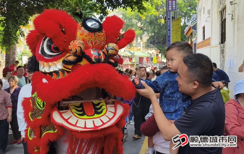 IMG_20260220_120454 (1).jpg