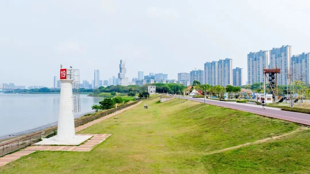 19号灯塔河堤大草坪。.jpg