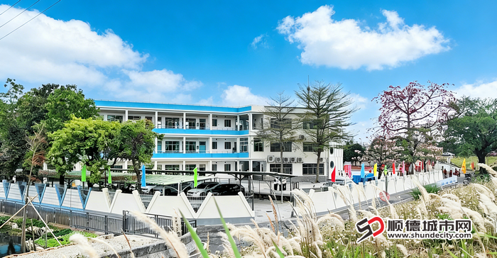 AI调整后的图 (3).png