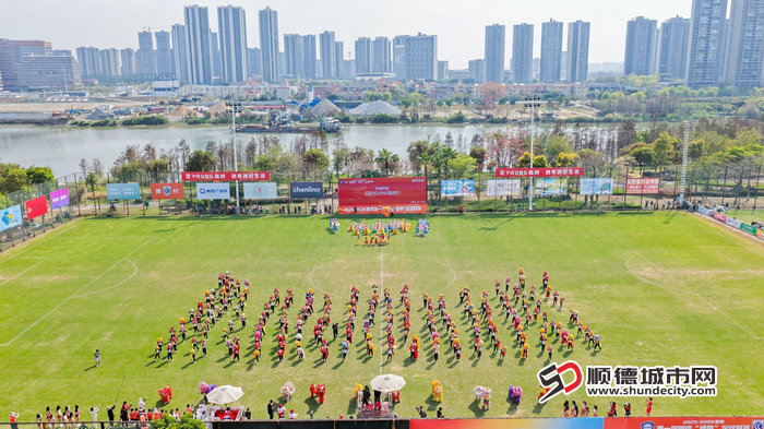 百狮迎春 (2).jpg