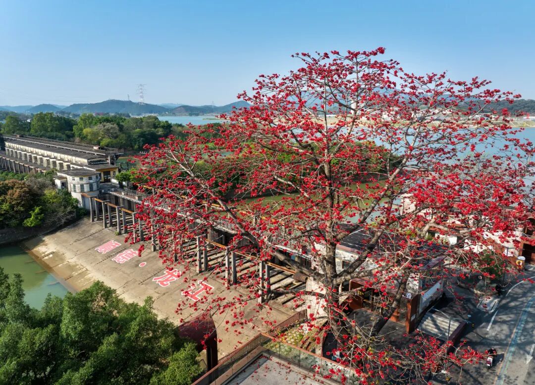 何惠然 摄 (1).jpg