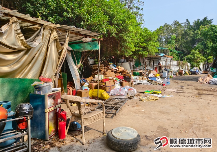 IMG_20260325_094207_1 (1).jpg