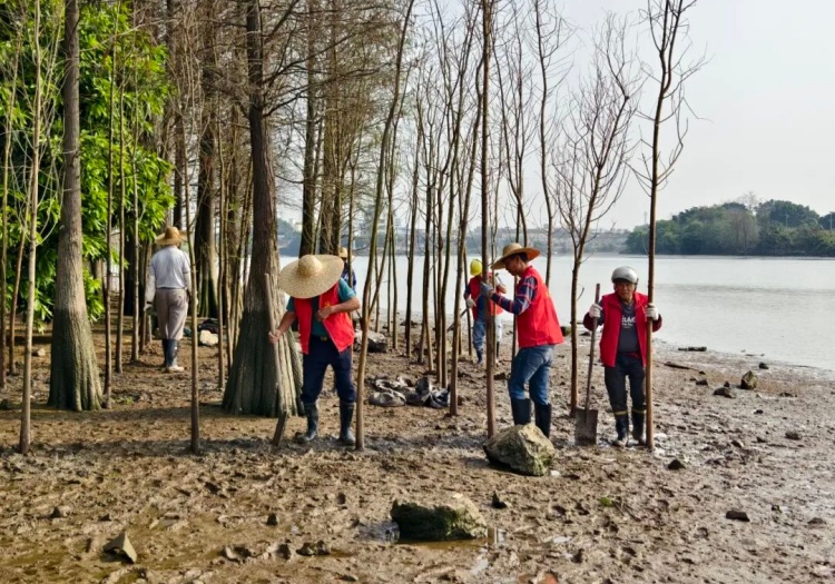 微信图片_2026-03-29_145614_658 (1).jpg