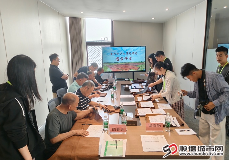 IMG_20260401_145627 (1).jpg