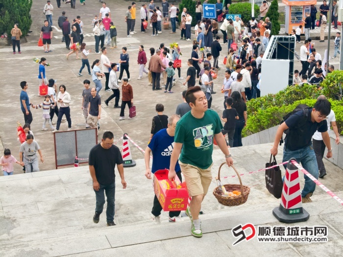 IMG_20260405_090616 (1) (1).jpg