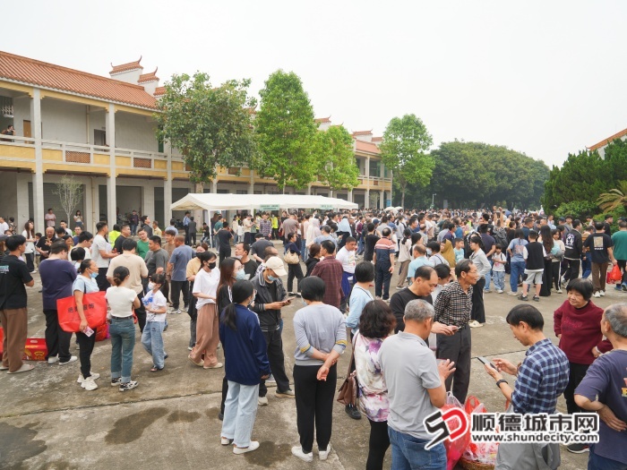 DSC04436 (1) (1).JPG