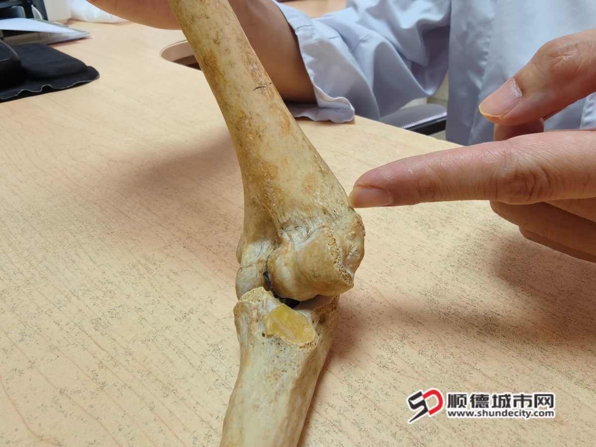 微信图片_20260414100839_1363_4_副本.jpg