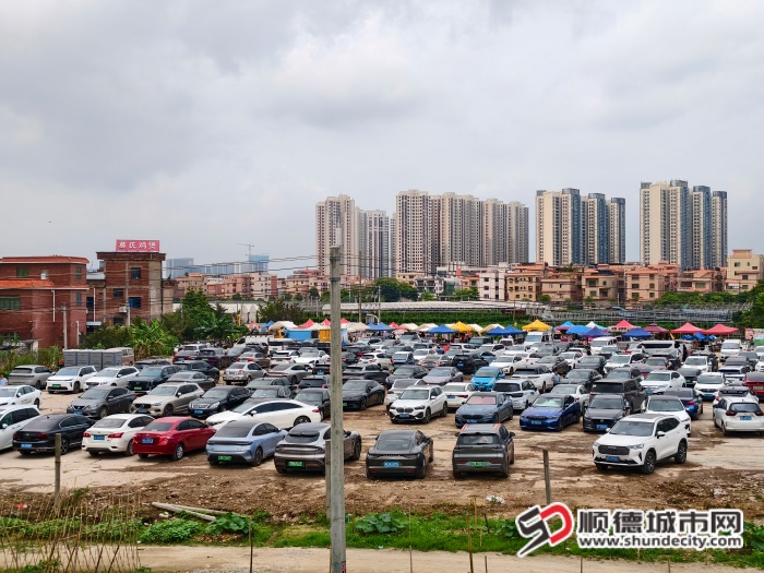 IMG_20260413_110240 (1).jpg