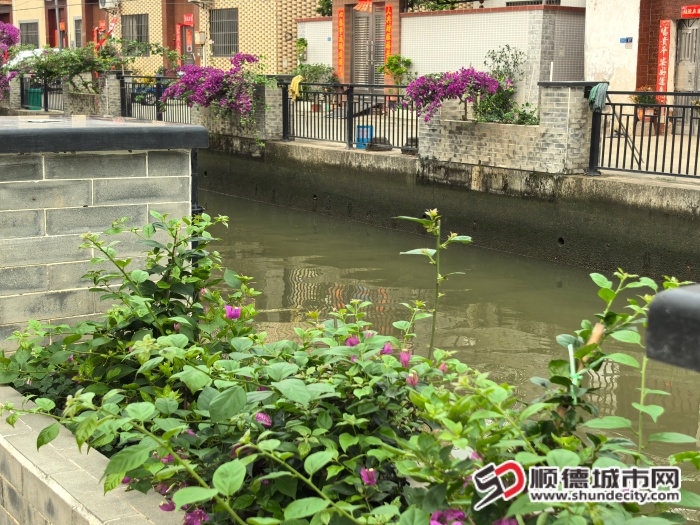 微信图片_20260416211831_464_1736 (1).jpg