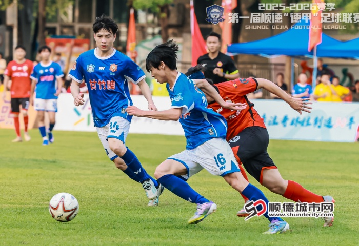 4C2A7683-opq4514019370_副本.jpg
