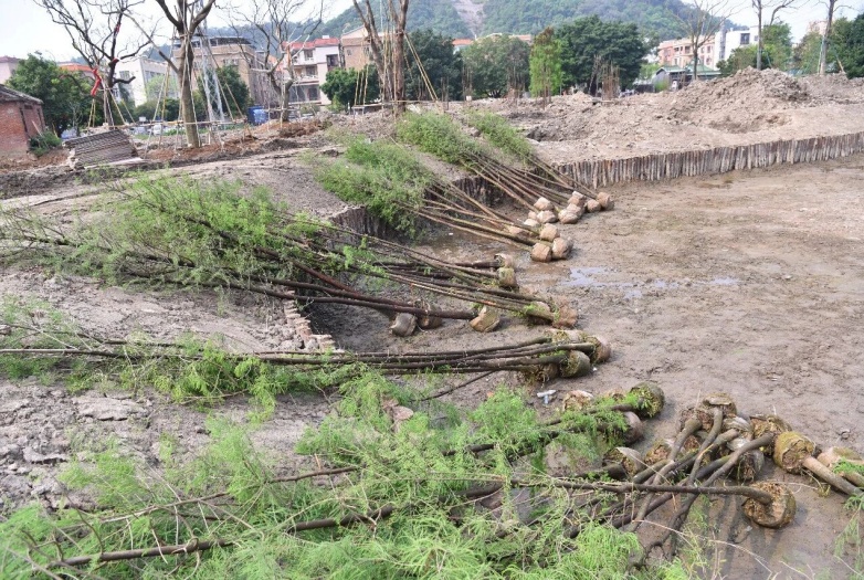 微信图片_2026-04-21_212523_218 (1).jpg