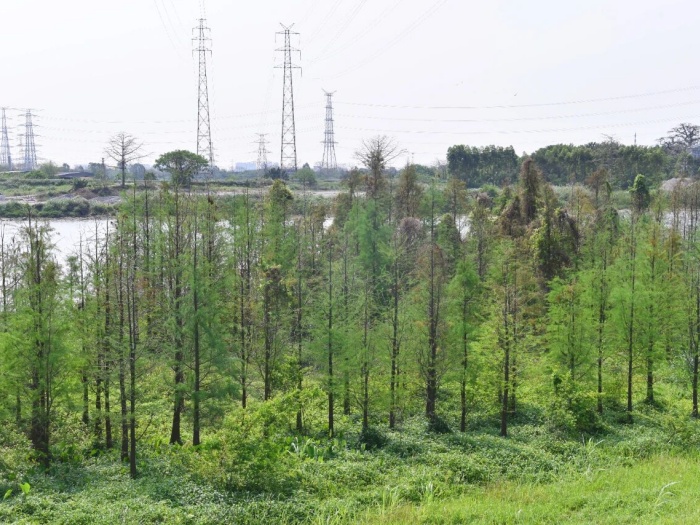 微信图片_2026-04-21_212542_365 (1).jpg