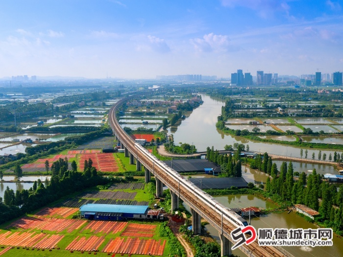 微信图片_20260424114437_6689_71 (1)_1 (1).jpg