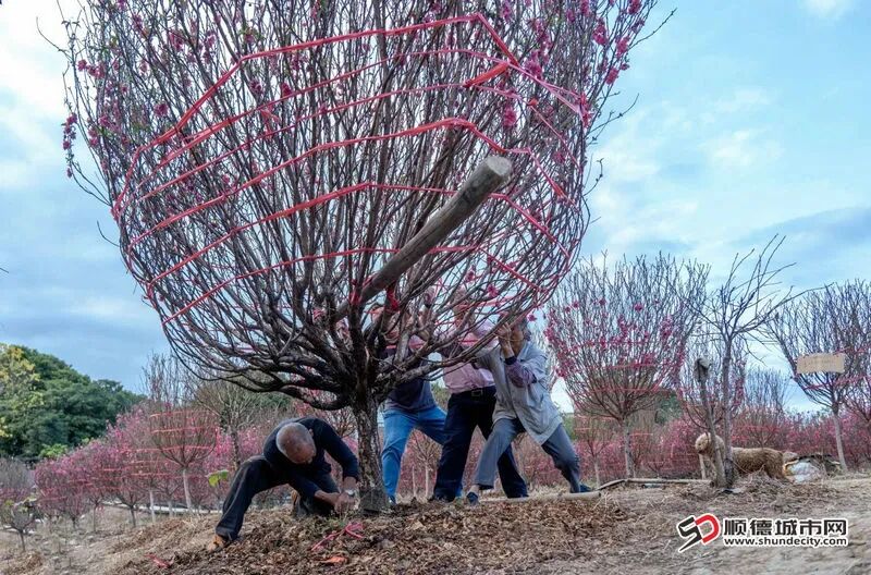 微信图片_2026-04-30_095840_581.jpg
