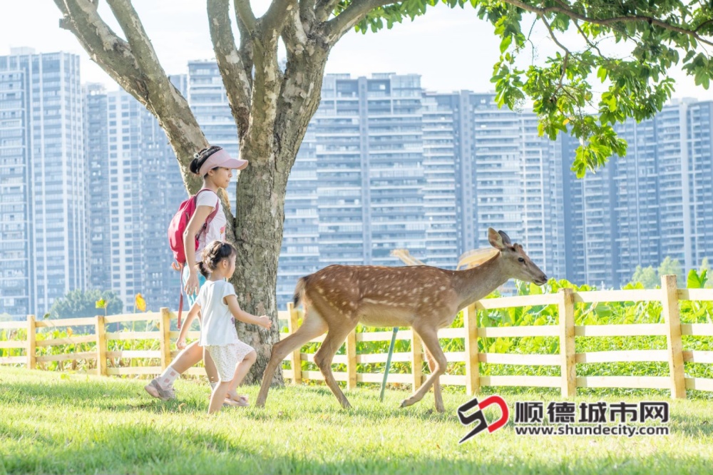 鹿岛公园_副本.jpg
