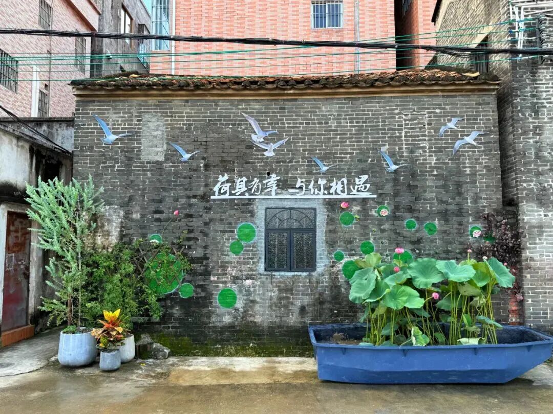 荷村.jpg