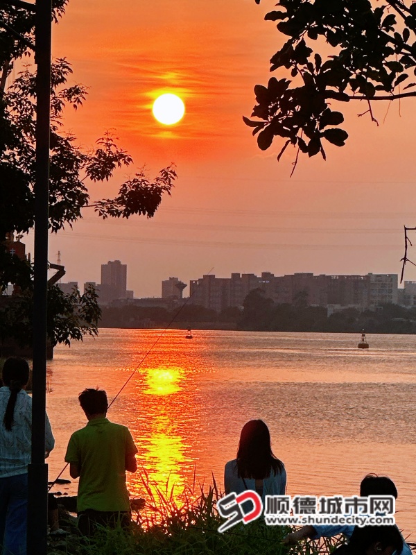 微信图片_2026-05-03_013848_012_副本.jpg