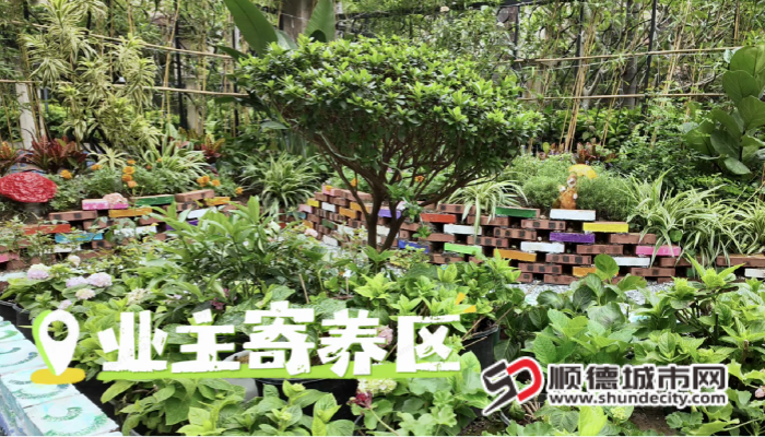 图片5_副本.png